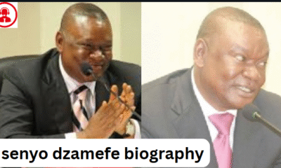 senyo dzamefe biography